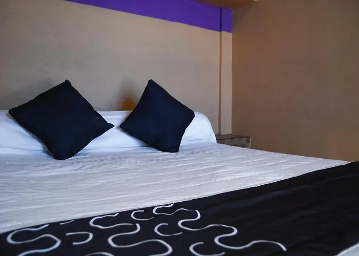 Hotel Platino